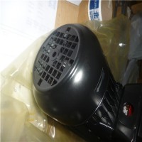 德國Brinkmann Pumps臥式端吸泵SBA、SBAS-V、SBG、SBGS-V、SBM