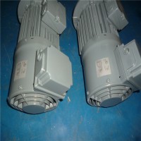 德國VEM IEC標(biāo)準(zhǔn)電動(dòng)機(jī)VEMIE3-W41R 71 G8原裝進(jìn)口