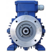 SMEM標(biāo)準(zhǔn)三相異步電機6極產(chǎn)品介紹