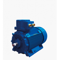 Marelli Motori 是電機(jī)和發(fā)電機(jī)的領(lǐng)先制造商，適用于多種工業(yè)領(lǐng)域