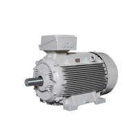Lammers防爆電機(jī) 型號(hào)1TZ9002-0BA6效率等級(jí)：IE2、IE3