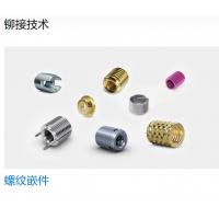 Bossard 提供多種不同類型的螺母，墊圈，螺釘，鉚釘?shù)染o固件