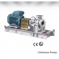 Johnson Pump 重型流程泵，適合化工/石化工業(yè)、煉油廠和一般工業(yè)應(yīng)用