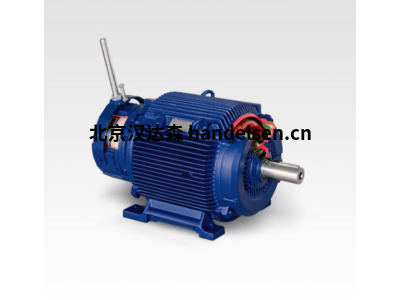 BIRKENBEUL 8APE112M-6K型1200轉(zhuǎn)60Hz三相電機