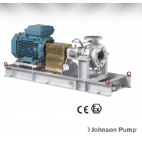 Johnson Pump 重型流程泵，適合化工、煉油廠和一般工業(yè)應(yīng)用