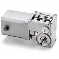 Mini Motor 蝸輪蝸桿直流減速電機(jī)BC2000-24MP，永磁直流電，全封閉
