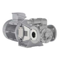 Johnson Pump 內(nèi)嚙合齒輪泵，適用于中等粘度、清潔和非磨蝕性液體