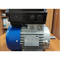 M.T. Motori  XF 系列具有高啟動轉(zhuǎn)矩的單相自制動電機(jī)